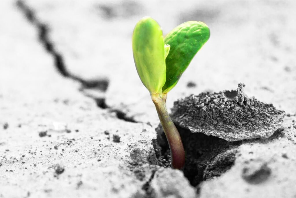La resiliencia como herramienta de empoderamiento.